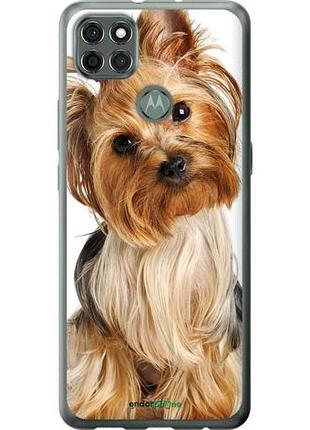 Чехол на motorola g9 power йоркширский терьер с хвостиком "930u-2229-10746"