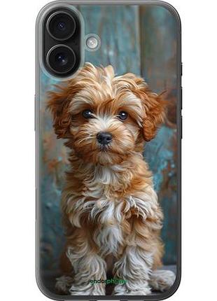Чехол на iphone 16 plus щенок мальтипу "6157u-3714-10746"