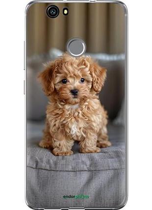 Чехол на huawei nova mini-maltipoo "6158u-439-10746"