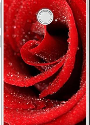 Чехол на huawei p8 lite (2017) красная роза "529u-777-10746"