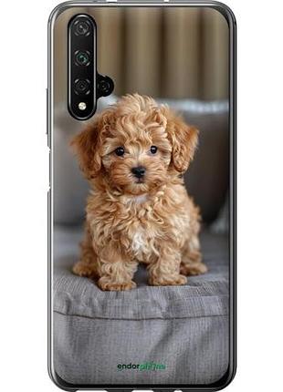Чехол на huawei honor 20 mini-maltipoo "6158u-1697-10746"
