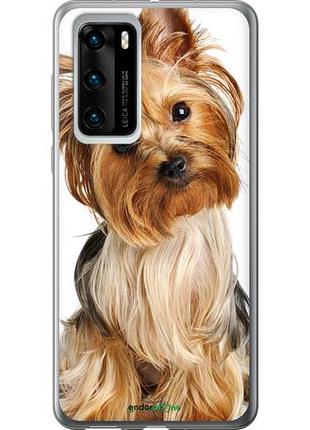 Чехол на huawei p40 йоркширский терьер с хвостиком "930u-1840-10746"