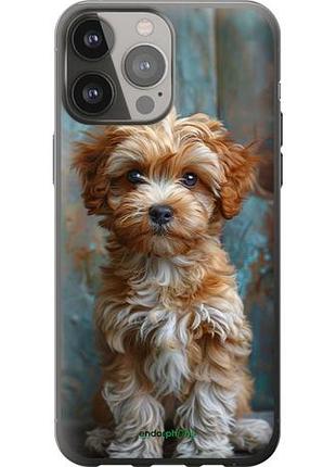 Чехол на iphone 13 pro max щенок мальтипу "6157u-2371-10746"
