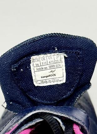 Kangaroos court ev 7