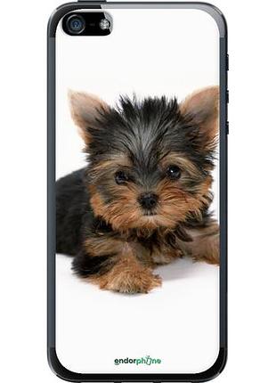Чехол на iphone se щенок йоркширского терьера "931u-214-10746"