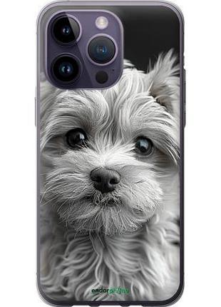 Чехол на iphone 14 pro max мальтипу на чорном фоне "6156u-2667-10746"