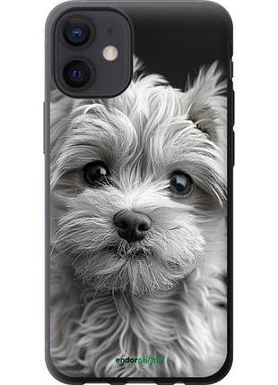 Чехол на iphone 12 mini мальтипу на чорном фоне "6156u-2071-10746"