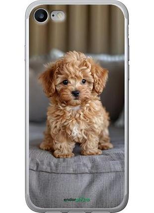 Чехол на iphone se 2020 mini-maltipoo "6158u-2013-10746"
