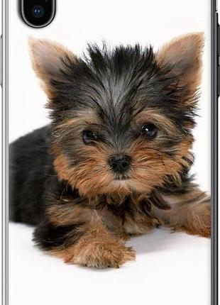 Чохол на iphone x цуценя йоркширського тер'єра "931u-1050-10746"