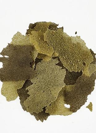 Корм для акваріумних рибок tropical tropical , 100г. пластівці