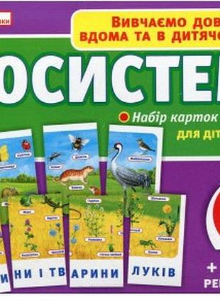 Набір карток: екосистеми, природні зони, світ рослин