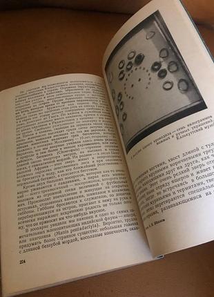 | 20 000 километров по индии | д. в. наумов | а. в. яблоков | 7