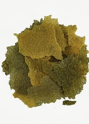 Корм для акваріумних риб tropical bio-vit, 100г. пластівці
