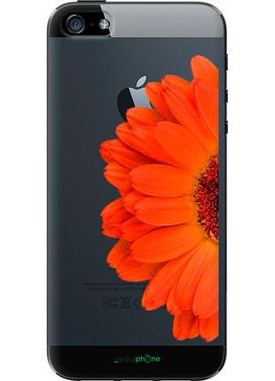Чехол на iphone 5 гербера 1 "4534u-18-10746"