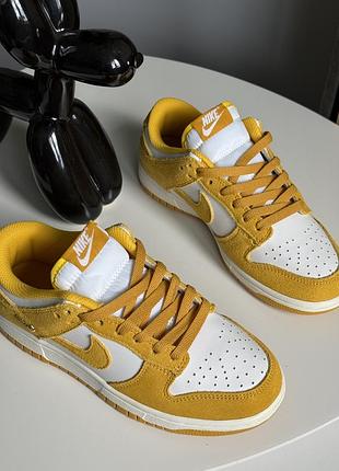 Nike sb dunk low