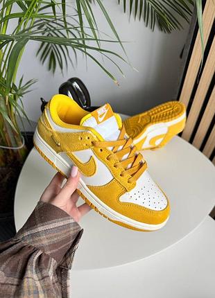 Nike sb dunk low 4