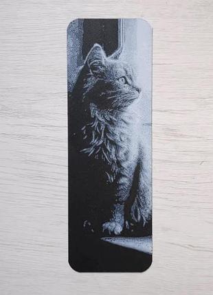 Закладки для книг - котята