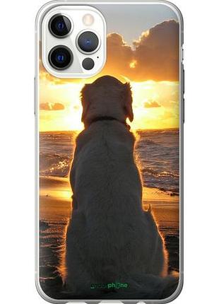 Чохол на iphone 12 закот і собака "3966u-2053-10746"