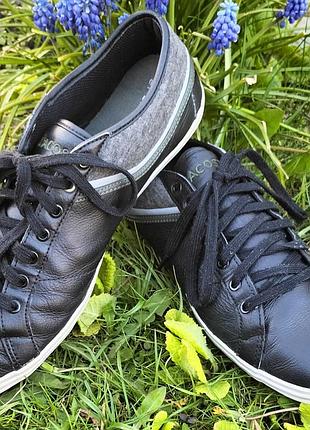 Кеди чоловічі "lacoste"