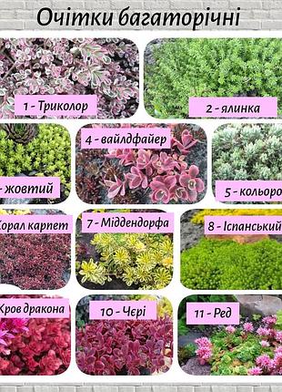 Армерия белая армерия белья розовая 6