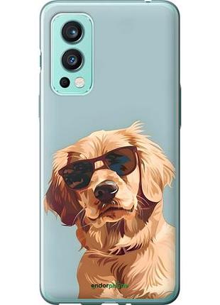 Чохол на oneplus nord 2 пес в окулярах