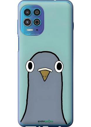 Чехол на motorola edge s голубь