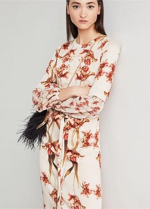 Сукня bcbgmaxazria 5
