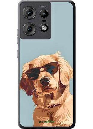 Чехол на motorola edge 50 pro 5g пес в очках моторола эдж 50 про 5г