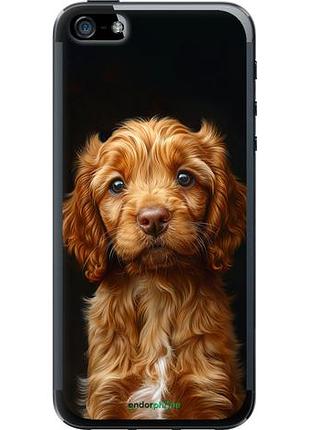 Чехол на iphone se cocker spaniel на черном фоне "6137u-214-10746"