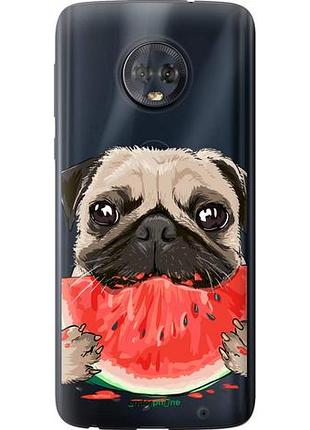 Чехол на motorola moto g6 plus мопс и арбуз "4665u-976-10746"