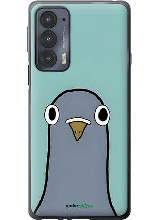 Чехол на motorola edge 20 голубь моторола эдж 20