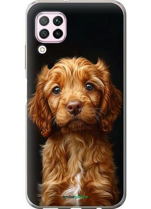 Чехол на huawei nova 6se cocker spaniel на черном фоне "6137u-1823-10746"