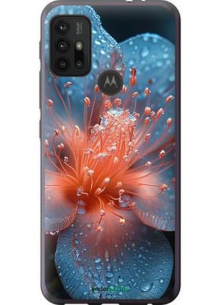 Чохол на motorola moto g10 роса на квітці "6039u-2319-10746"