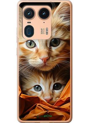 Чехол на motorola moto x50 ultra котики 2 "5664u-3866-10746"