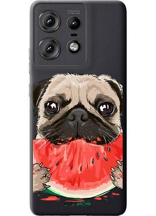 Чехол на motorola edge 50 pro 5g мопс и арбуз "4665u-3710-10746"