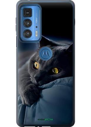 Чехол на motorola edge 20 pro дымчатый кот "825u-2662-10746"