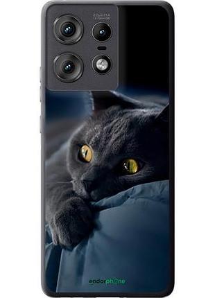 Чехол на motorola edge 50 pro 5g дымчатый кот "825u-3710-10746"
