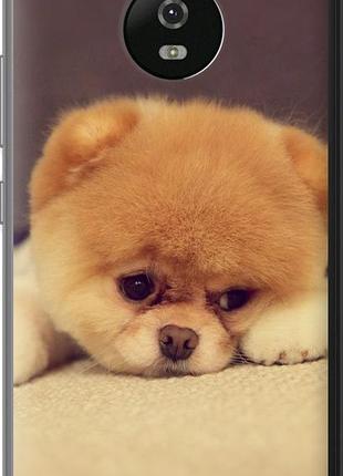 Чехол на motorola moto g5 boo 2 "890u-832-10746"