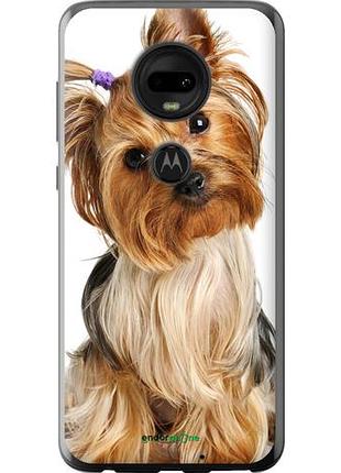 Чехол на motorola moto g7 йоркширский терьер с хвостиком "930u-1614-10746"