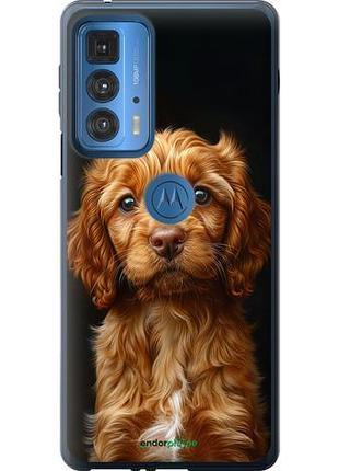 Чехол на motorola edge 20 pro cocker spaniel на черном фоне "6137u-2662-10746"