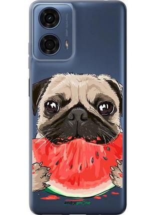 Чехол на motorola moto g24 power мопс и арбуз "4665u-3665-10746"