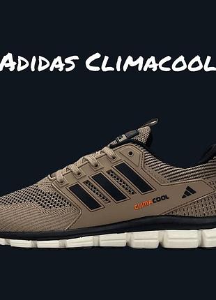 Adidas climacool brown black