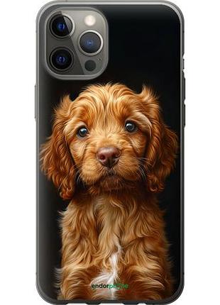 Чехол на iphone 12 pro max cocker spaniel на черном фоне "6137u-2054-10746"