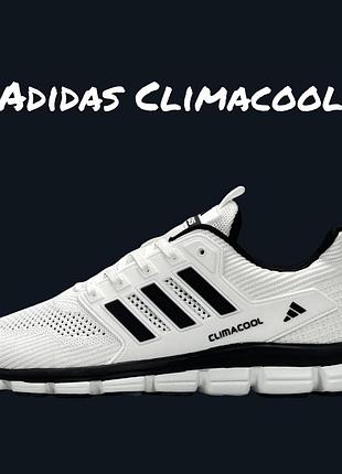 Adidas climacool white black