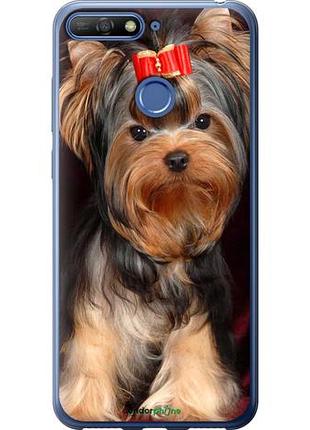 Чехол на huawei honor 7c йоркширский терьер "929u-1411-10746"
