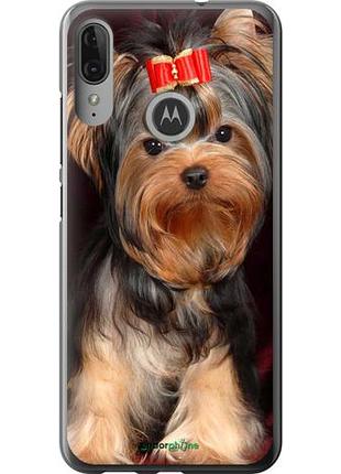 Чохол на motorola moto e6 plus йоркширський тер'єр "929u-1780-10746"