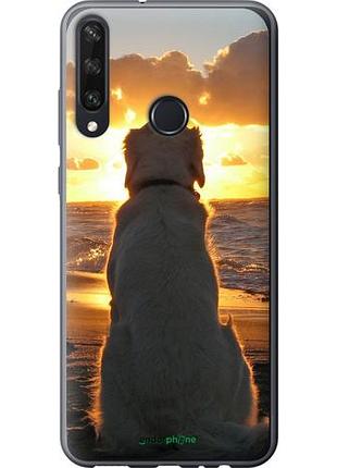 Чехол на huawei y6p закат и собака "3966u-1952-10746"