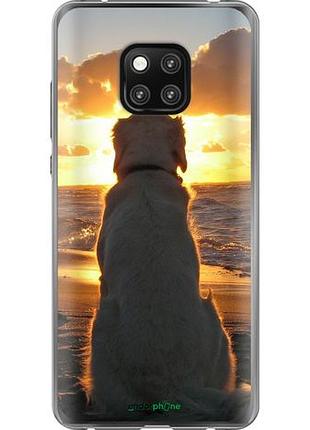 Чехол на huawei mate 20 pro закат и собака "3966u-1567-10746"