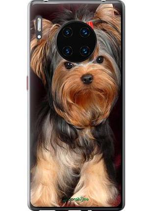 Чохол на huawei mate 30 pro йоркширський тер'єр "929u-1796-10746"