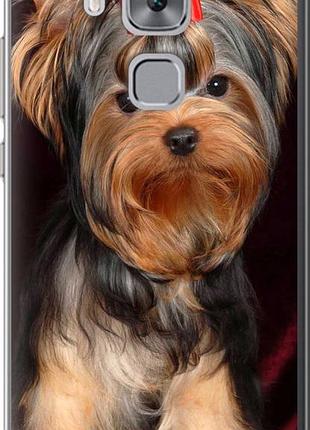 Чехол на huawei nova plus йоркширский терьер "929u-961-10746"